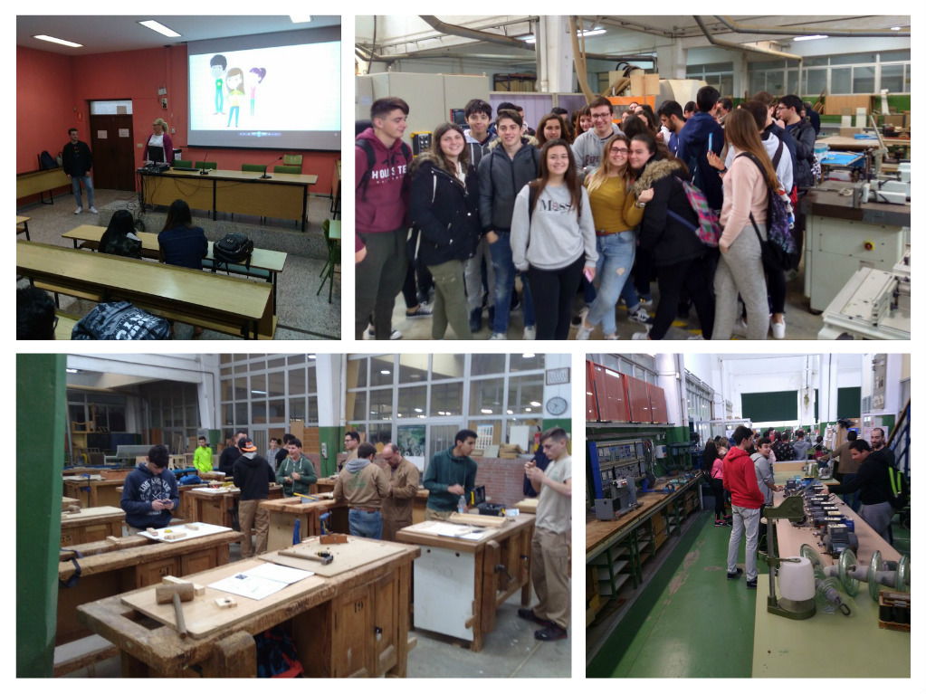 50 18 04 rosaleda collage